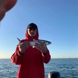 Meet your Posher, Tom